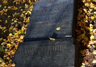 Chomutov městský, Omnium, 2020