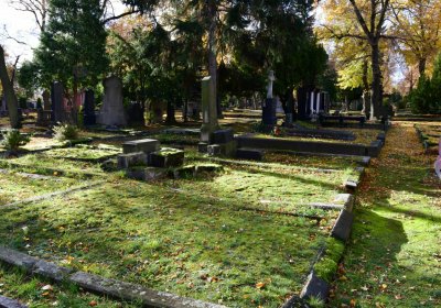 Chomutov městský, Omnium, 2020