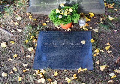 Chomutov městský, Omnium, 2020