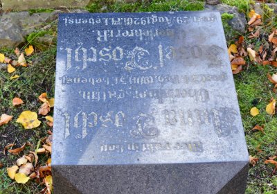 Chomutov městský, Omnium, 2020