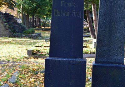 Chomutov městský, Omnium, 2020