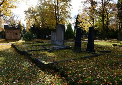 Chomutov městský, Omnium, 2020