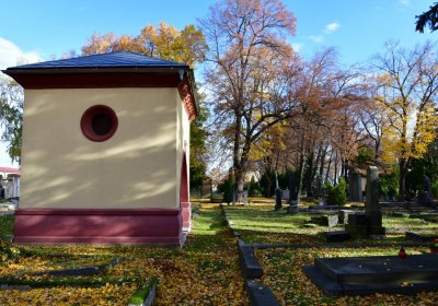 Chomutov městský, Omnium, 2020