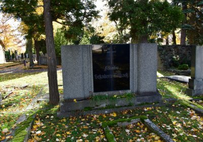 Chomutov městský, Omnium, 2020