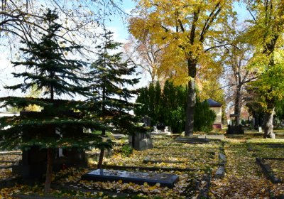 Chomutov městský, Omnium, 2020