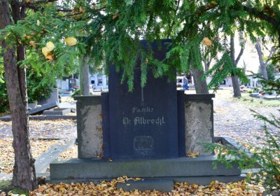 Chomutov městský, Omnium, 2020