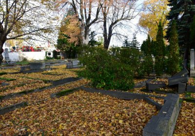 Chomutov městský, Omnium, 2020