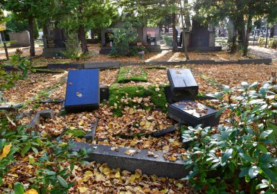 Chomutov městský, Omnium, 2020