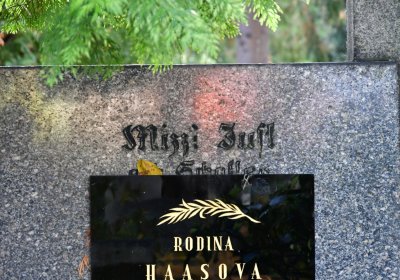 Chomutov městský, Omnium, 2020