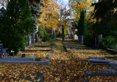 Chomutov městský, Omnium, 2020