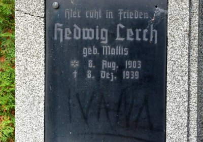 Chomutov městský, Omnium, 2020