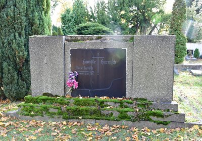 Chomutov městský, Omnium, 2020