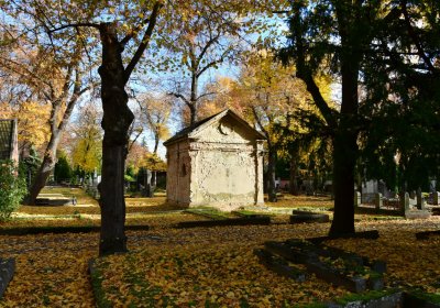 Chomutov městský, Omnium, 2020