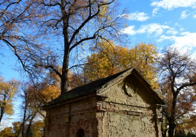 Chomutov městský, Omnium, 2020