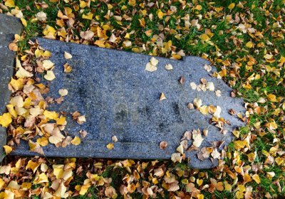 Chomutov městský, Omnium, 2020