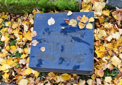 Chomutov městský, Omnium, 2020