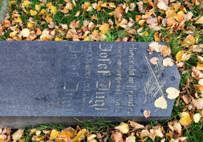 Chomutov městský, Omnium, 2020