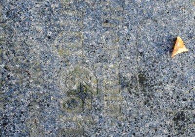 Chomutov městský, Omnium, 2020