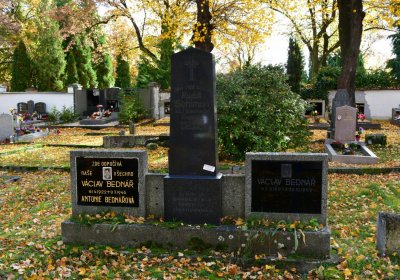 Chomutov městský, Omnium, 2020