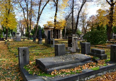 Chomutov městský, Omnium, 2020