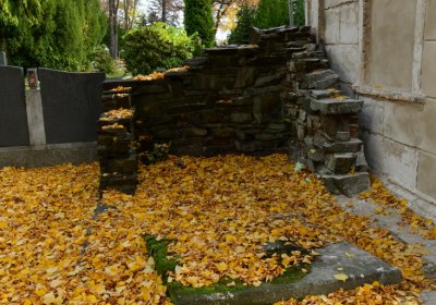 Chomutov městský, Omnium, 2020