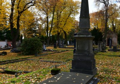 Chomutov městský, Omnium, 2020