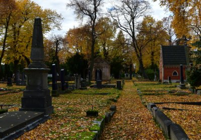 Chomutov městský, Omnium, 2020