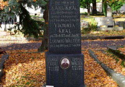 Chomutov městský, Omnium, 2020