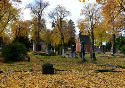 Chomutov městský, Omnium, 2020