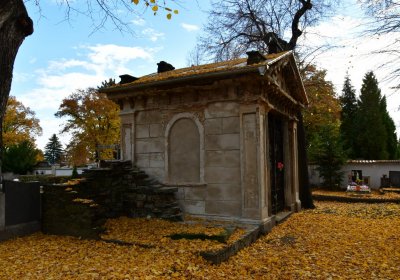 Chomutov městský, Omnium, 2020