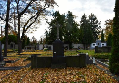 Chomutov městský, Omnium, 2020