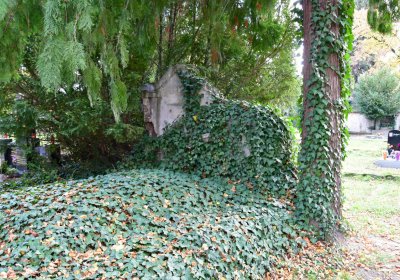 Chomutov městský, Omnium, 2020