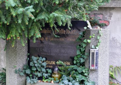 Chomutov městský, Omnium, 2020