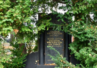 Chomutov městský, Omnium, 2020