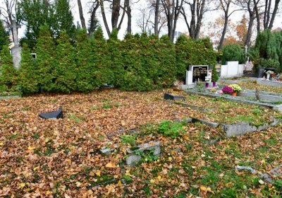 Chomutov městský, Omnium, 2020