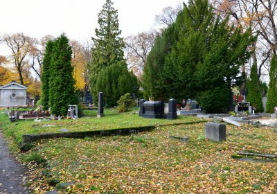 Chomutov městský, Omnium, 2020