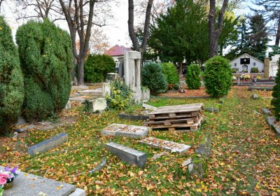 Chomutov městský, Omnium, 2020