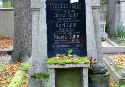 Chomutov městský, Omnium, 2020