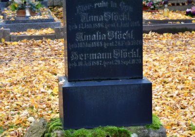 Chomutov městský, Omnium, 2020