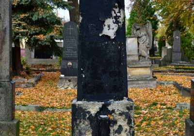 Chomutov městský, Omnium, 2020