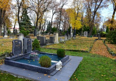 Chomutov městský, Omnium, 2020