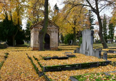 Chomutov městský, Omnium, 2020