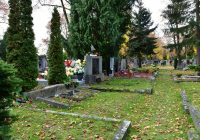 Chomutov městský, Omnium, 2020