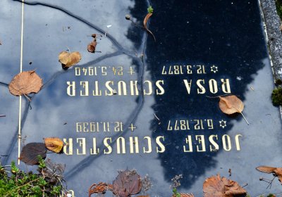 Chomutov městský, Omnium, 2020