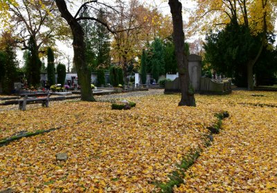 Chomutov městský, Omnium, 2020