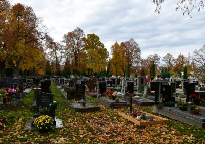 Chomutov městský, Omnium, 2020