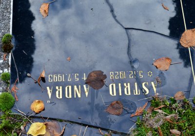 Chomutov městský, Omnium, 2020