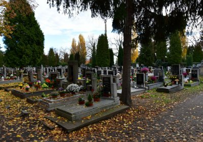 Chomutov městský, Omnium, 2020