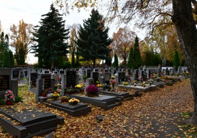 Chomutov městský, Omnium, 2020