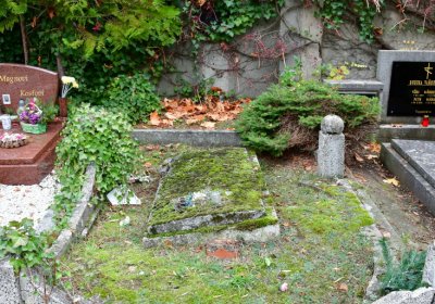 Chomutov městský, Omnium, 2020